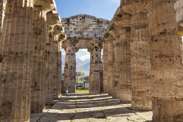 Admiring the Temple of Neptune